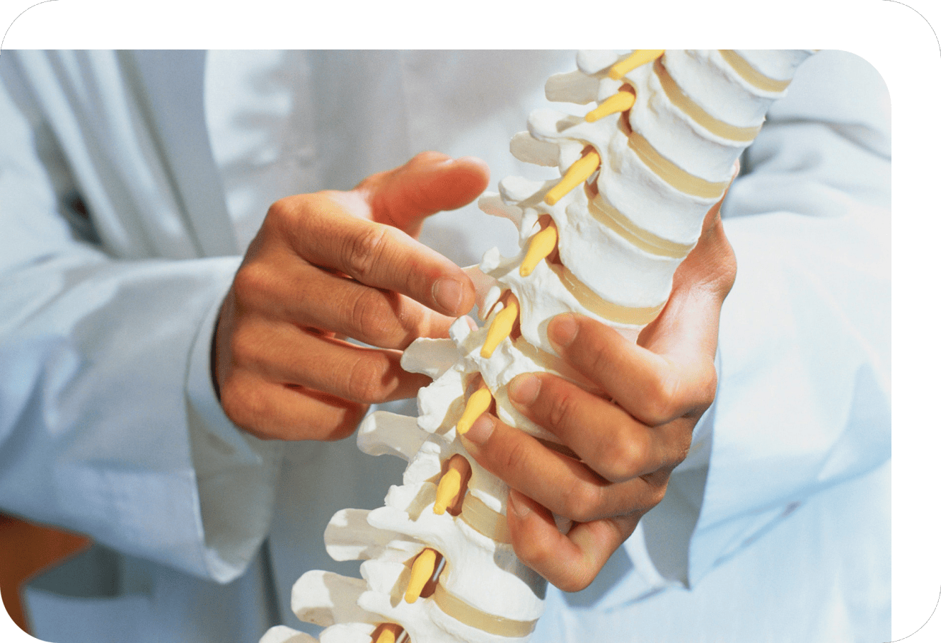 colonne vertébrale chiropracteur aix en provence
